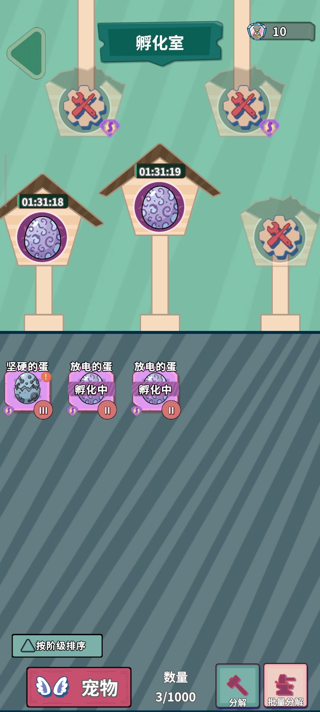 宠物 1