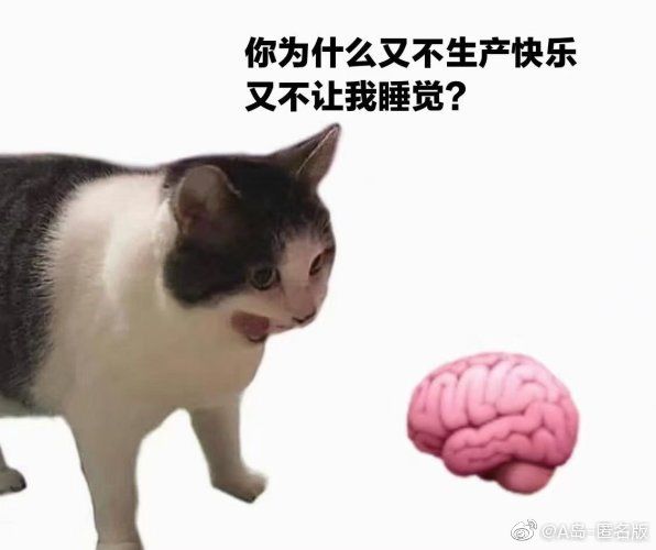 考了月考后又感觉这辈子有了怎么办? 1