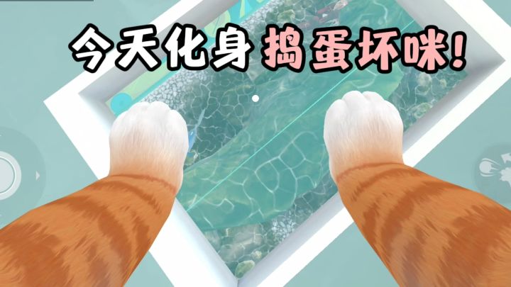 🐱今天化身猫咪,开启拆家捣乱计划❗️截图