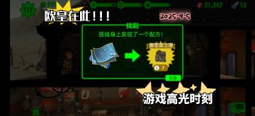 新幸存者的疯狂记事二三事