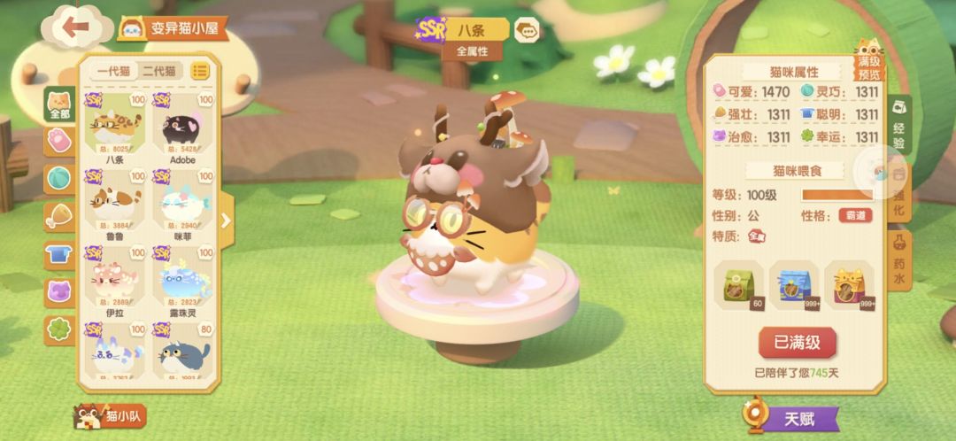 再见猫公 2