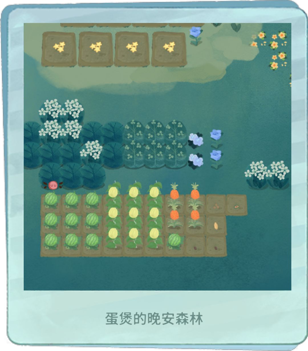 在线等,谁能告诉我这是什么小动物🧐 2