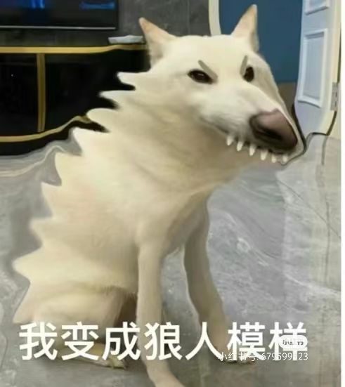 求分享tap安装包 2