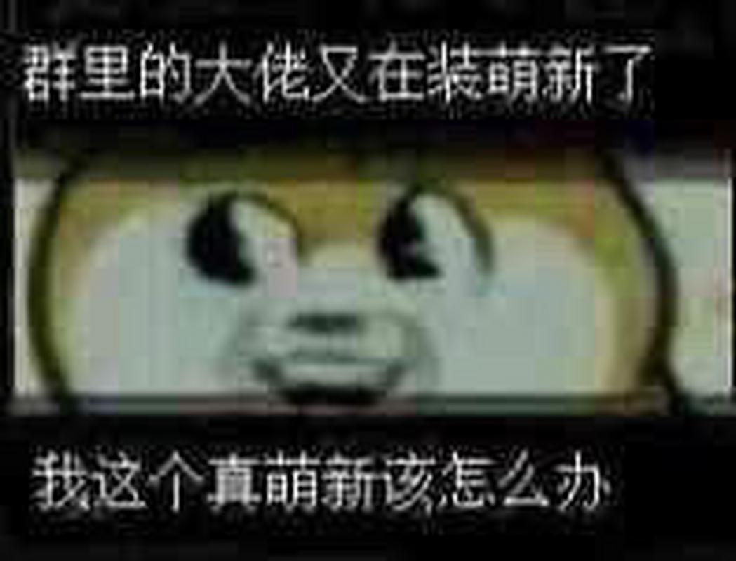 【入坑指南】0基础新手攻略!萌新100问汇总 1