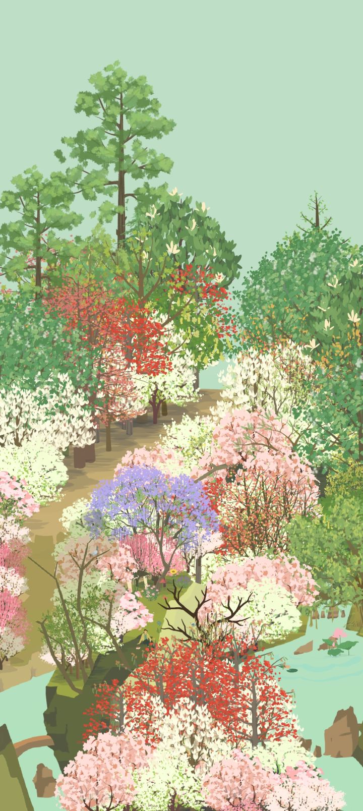 蓝花楹!截图