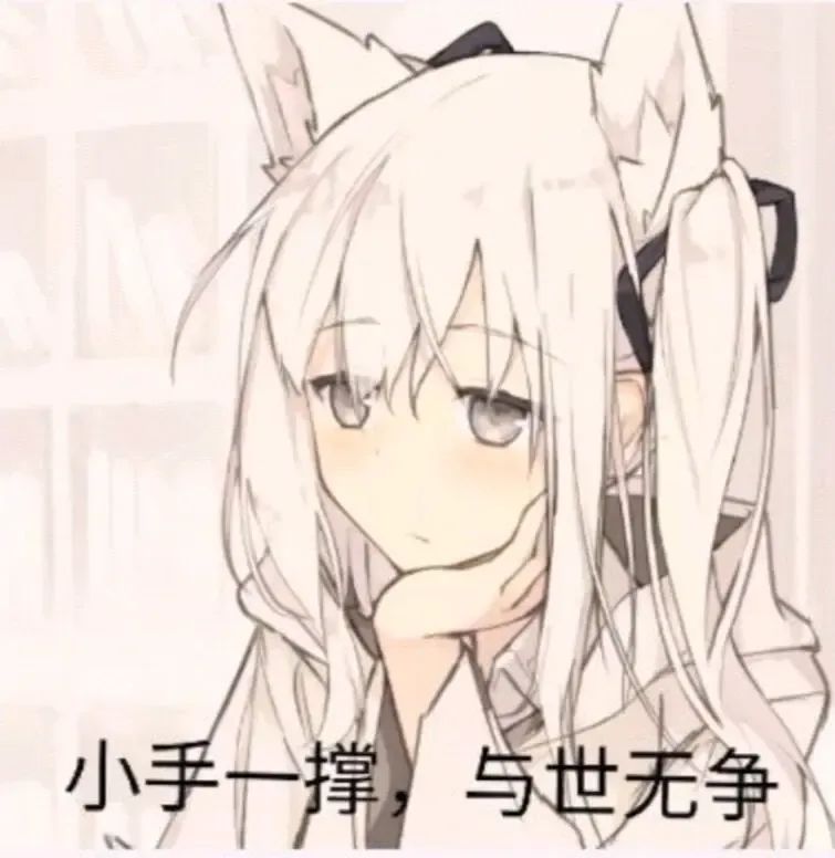 都因为乐迪智美才买的 2