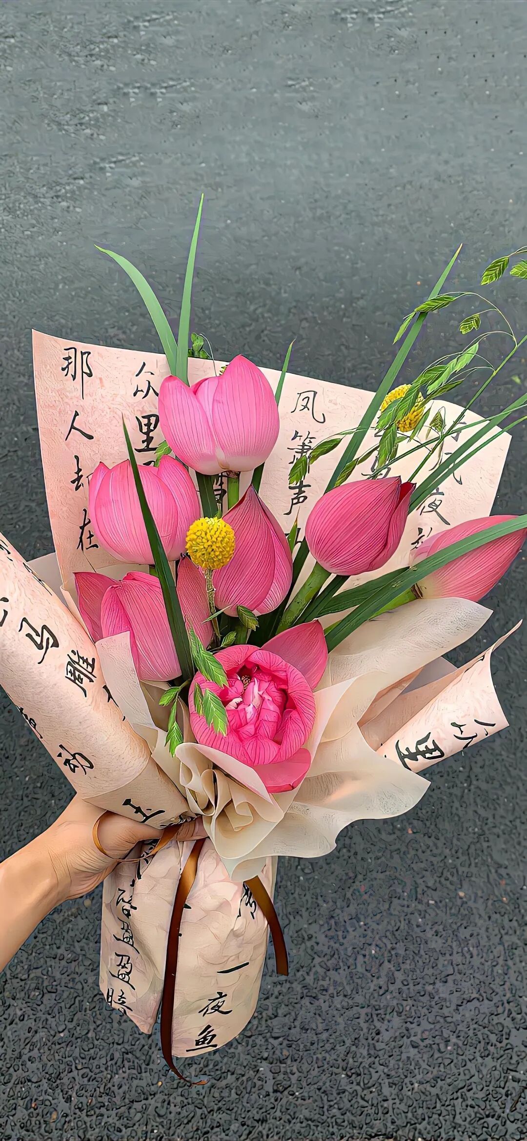 今日份壁纸——荷花🪷系列 12
