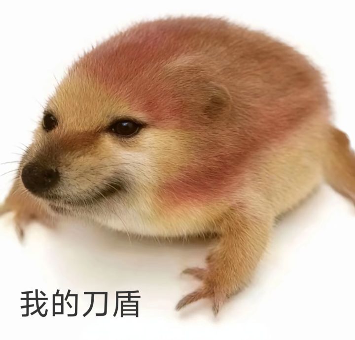 绑绑我尽力了,兑换码不含括号大全。截图