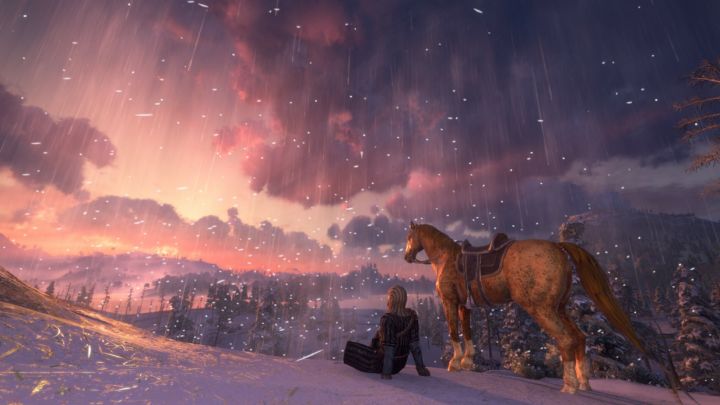 《Gloria Victis》征服的荣耀支持中文,开放世界MMORPG。截图