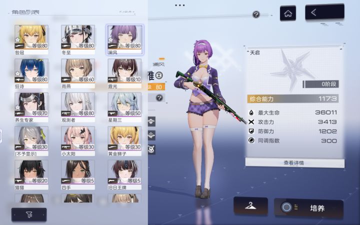 入坑一个半月,晒一下阵容截图