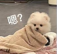 玩几秒就闪退 1