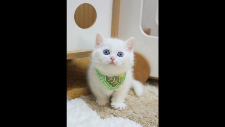 🧏♀️小德“人海刮痧流”来啦~截图