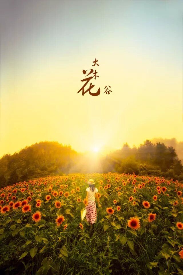 自创宗门截图