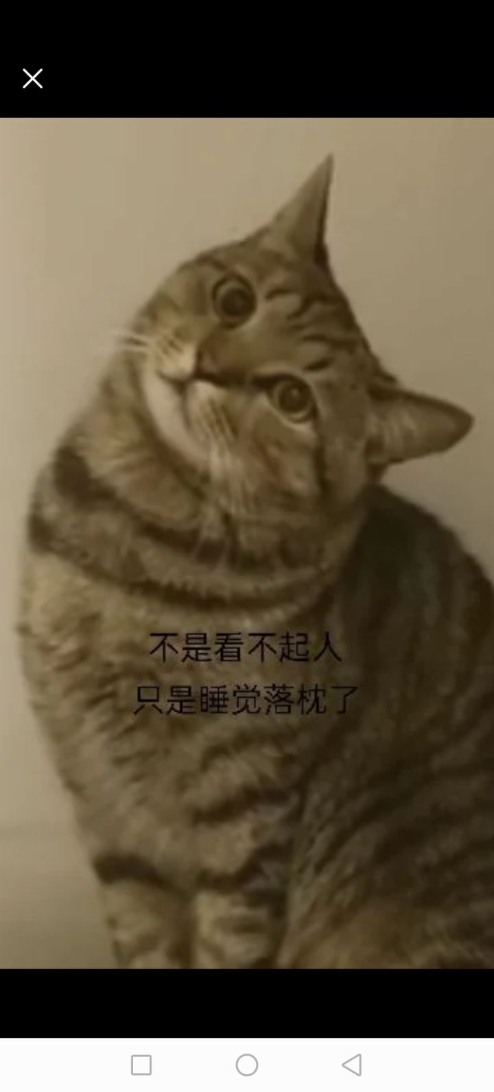 白雪松截图