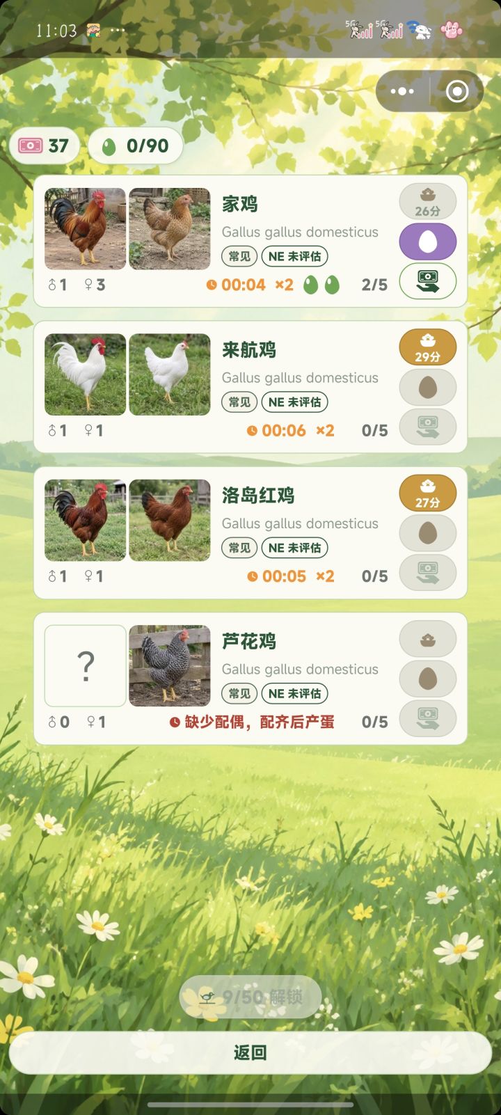 画风清新治愈的养鸡小游戏!收集各类鸡品种,看着小鸡配对产蛋很有成就感。玩法简单休闲,碎片时间点开养养鸡,解压又有趣,希望后续能解锁更多动物品种。
刚玩,不知道可不可以不同品种鸡相互匹配啊,差不多的品种也没有生物隔离啊,可以杂交吧,增加不同性,
一次五个鸡蛋很快就满了,能不能自动卖钱或者自动孵化截图