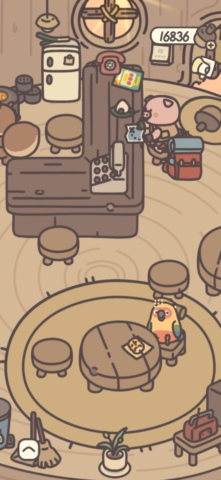 感觉这个小鹦鹉好可爱呀截图