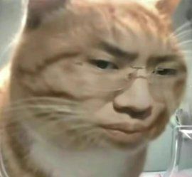 这照片是你吗? 3