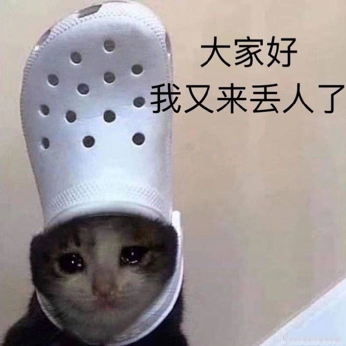 分享一下养的蛇蛇~ 2
