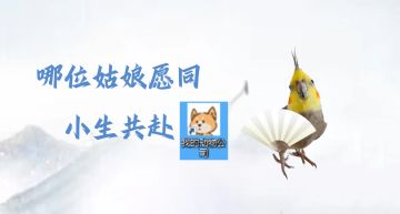 古风小鸟 快哉快哉