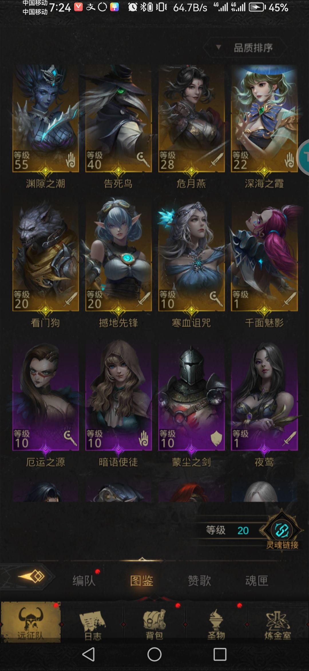各位大佬这个阵容可以吗 2