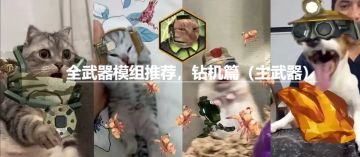 【深岩精通必看系列】全模组加点 钻机篇 （主武器2）