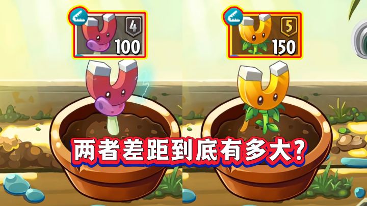 磁力菇VS吸金磁!二者的真实差距到底有多大?截图