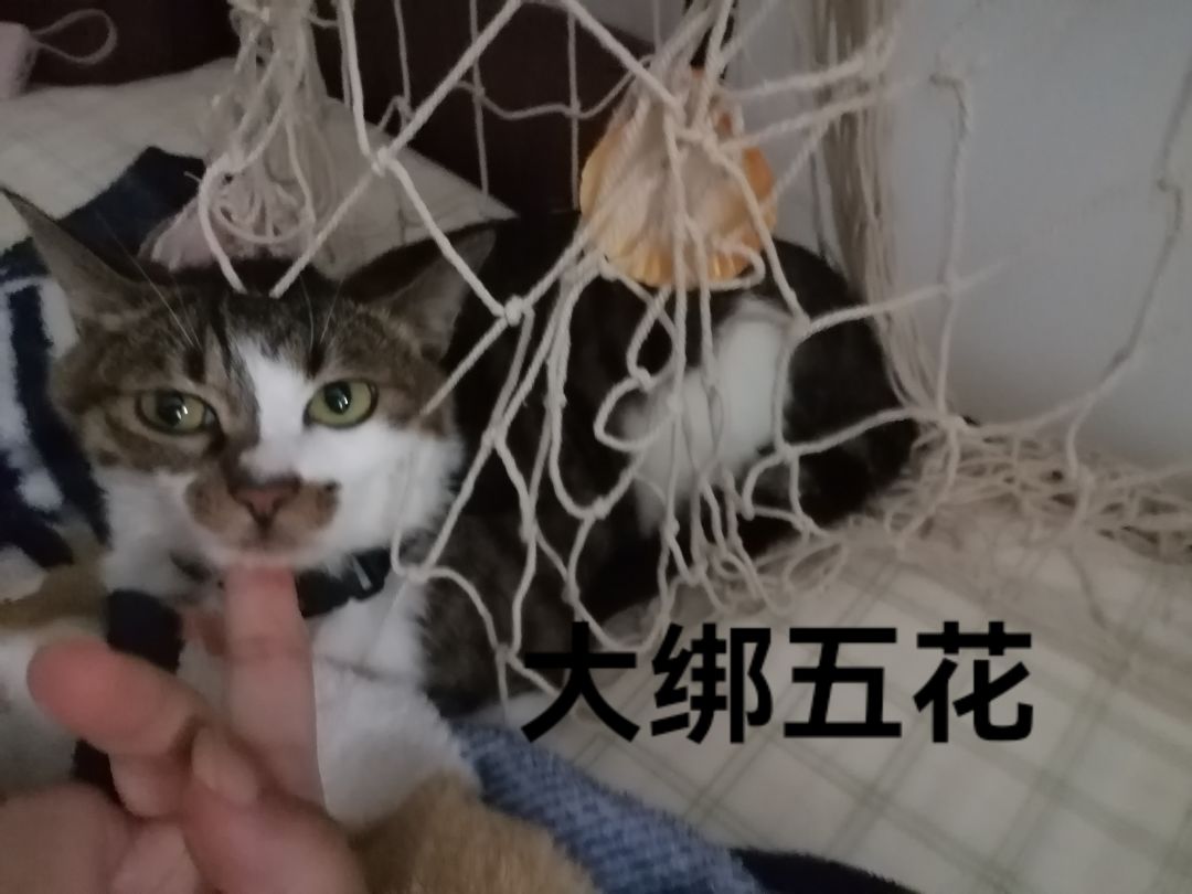 大家都是怎么找到男/女友的啊? 1