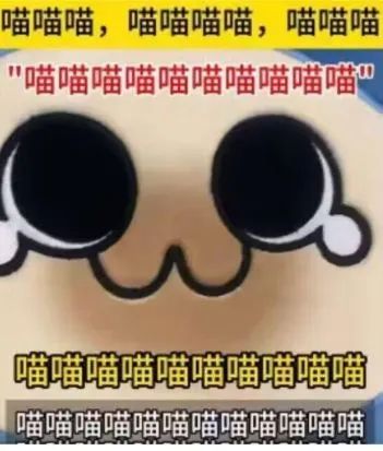 zsbd截图