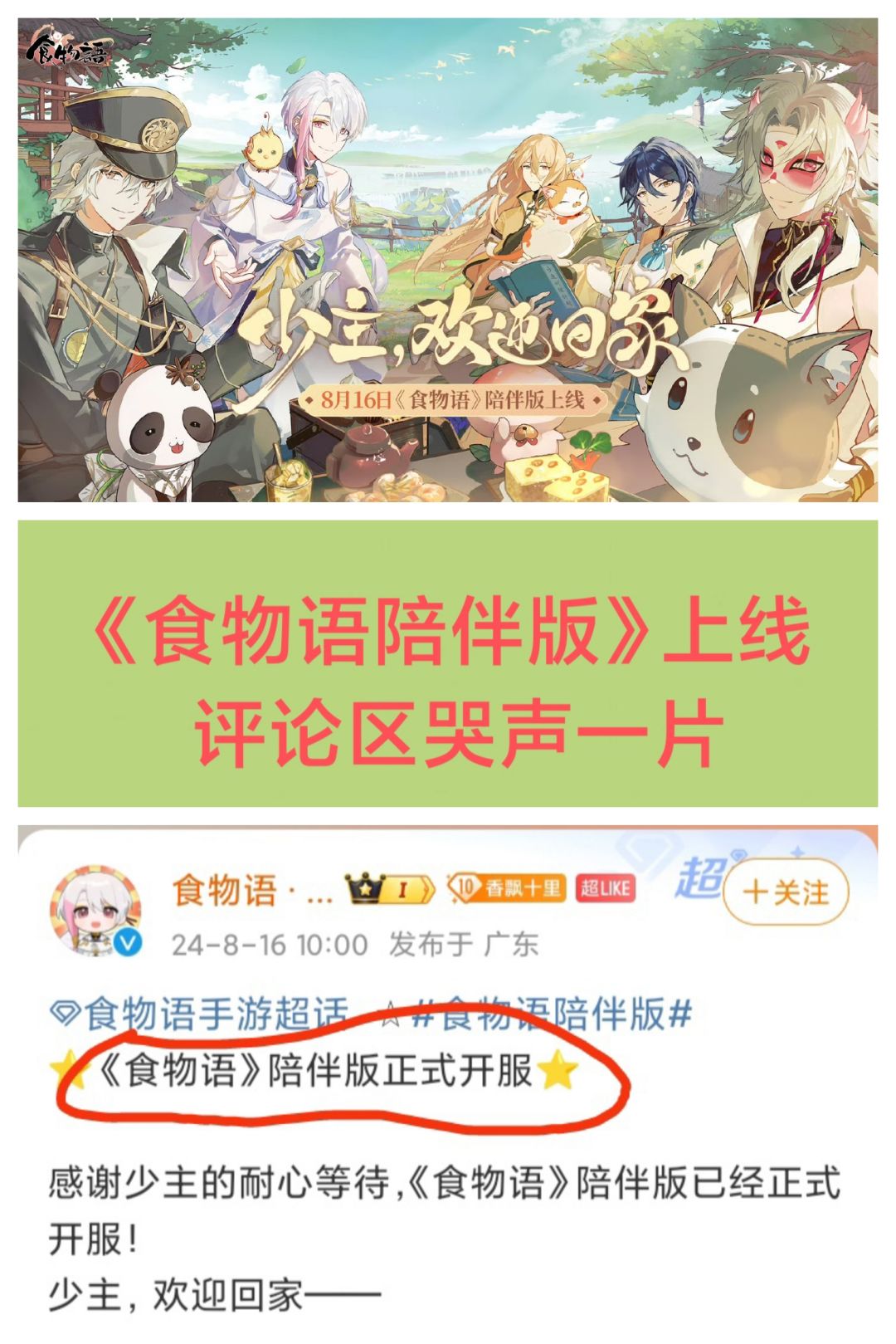 不理解,但大受震撼❗《食物语》陪伴版回归 1