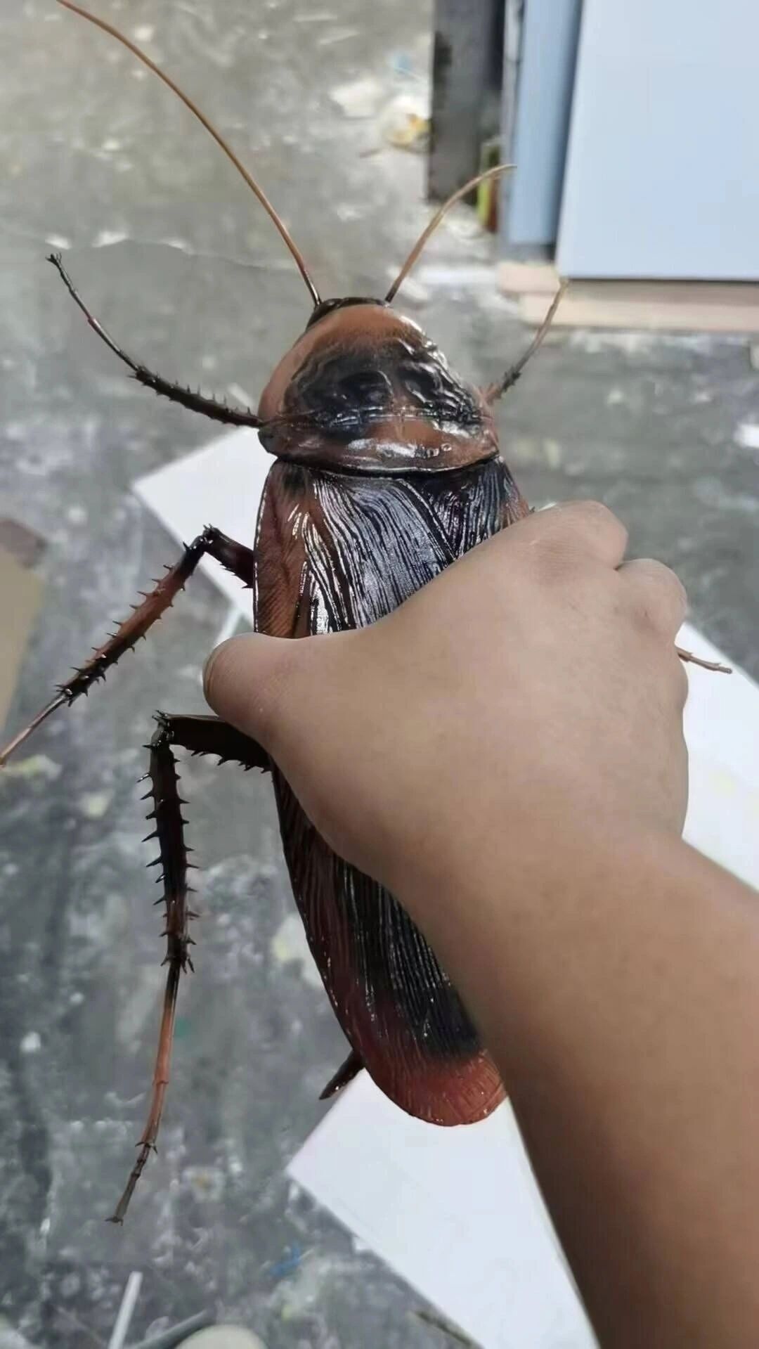 有玩八方旅人0的嘛 1