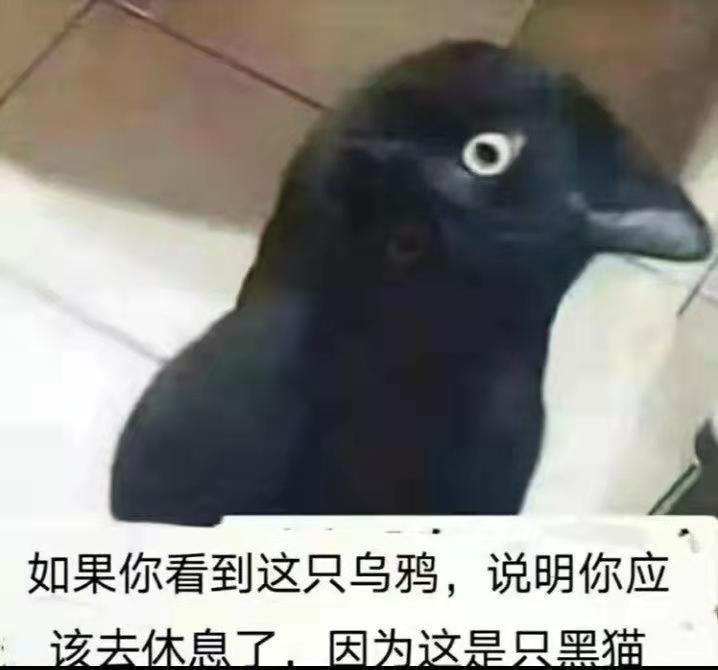 找一个没时间玩王者的号共 1