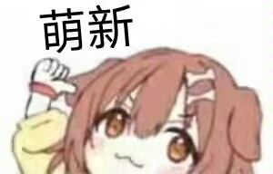 温迪(无炎)摆烂之路 1