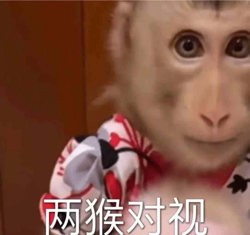 我什么都没有干（确信） 2