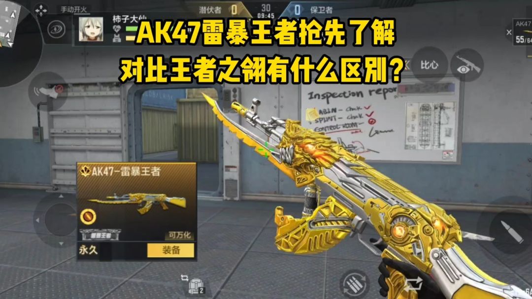 video-5446921