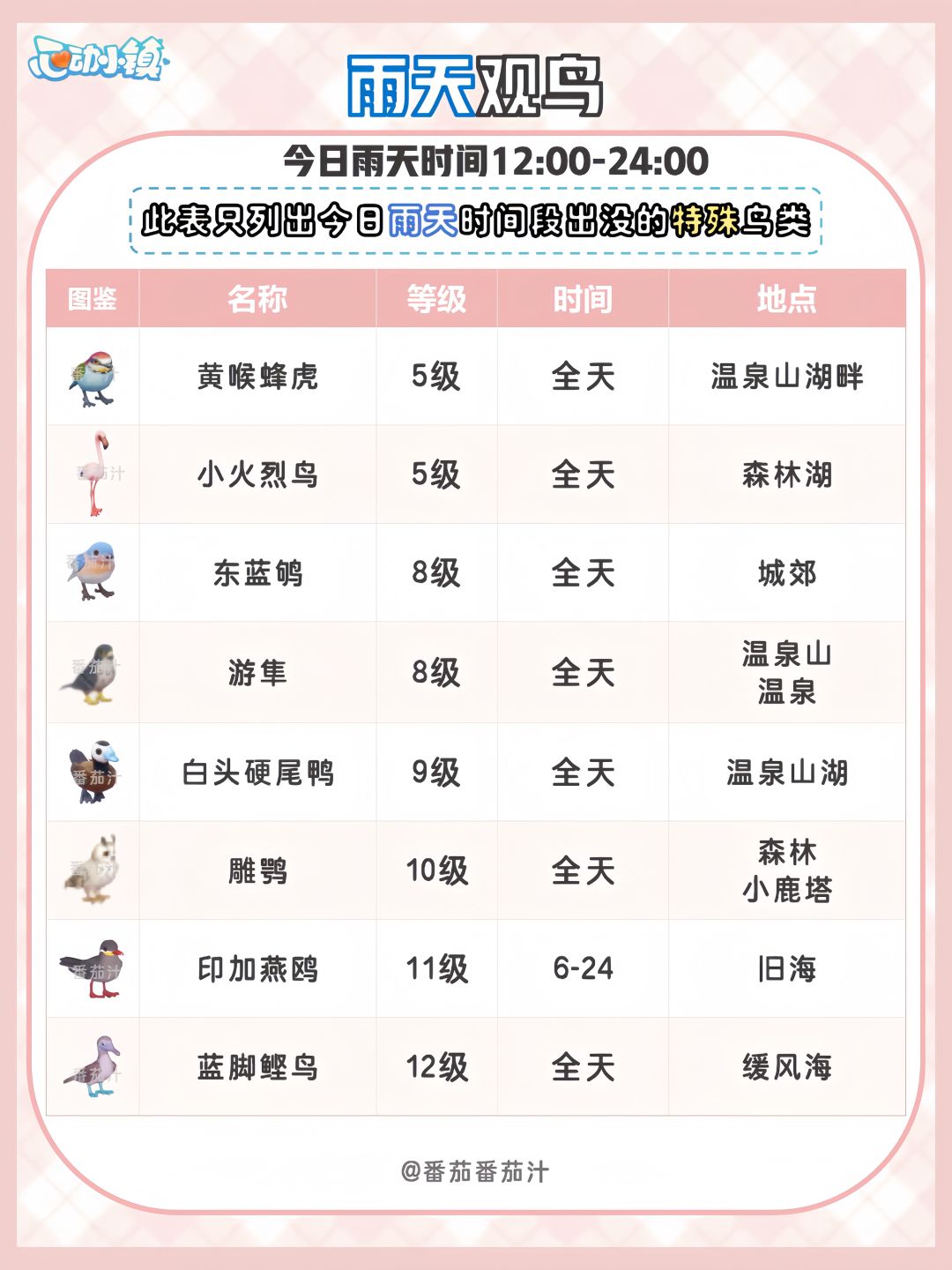 9月25日 引星河最后的雨天 必做攻略 7