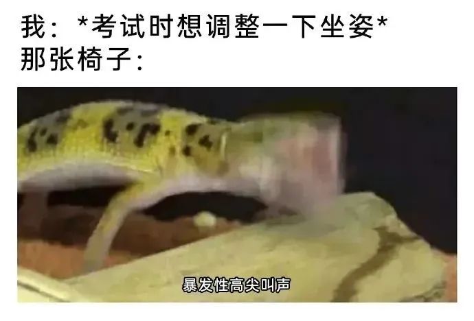 今日份梗图分享 2