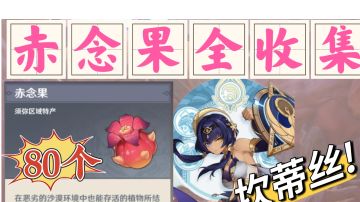 【V3.1】#赤念果全收集（80个）#坎蒂丝突破材料#赤念果