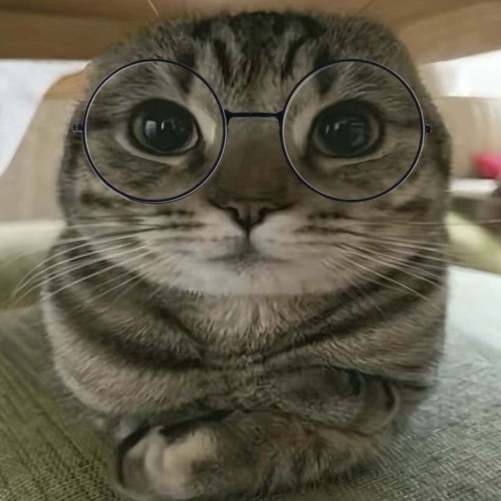 畏惧了截图