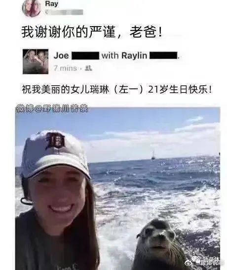 今日份梗图分享 2