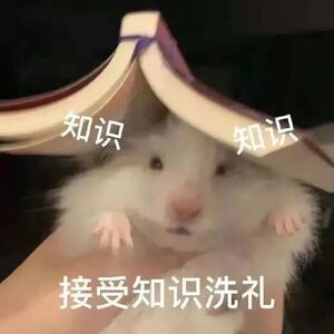 开发者日记2——来自一个第一次参加gamejam的策划截图