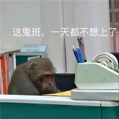 上班吗喽命也是命!表情包壁纸 3