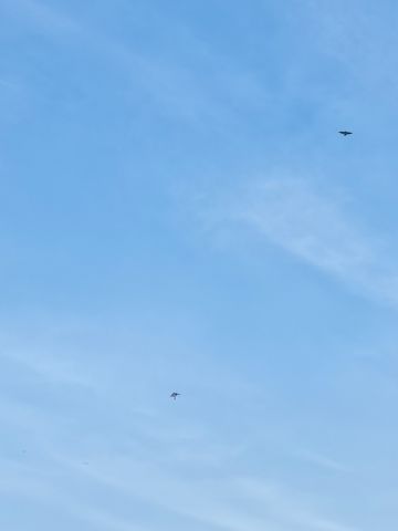 新手攻略-小事项