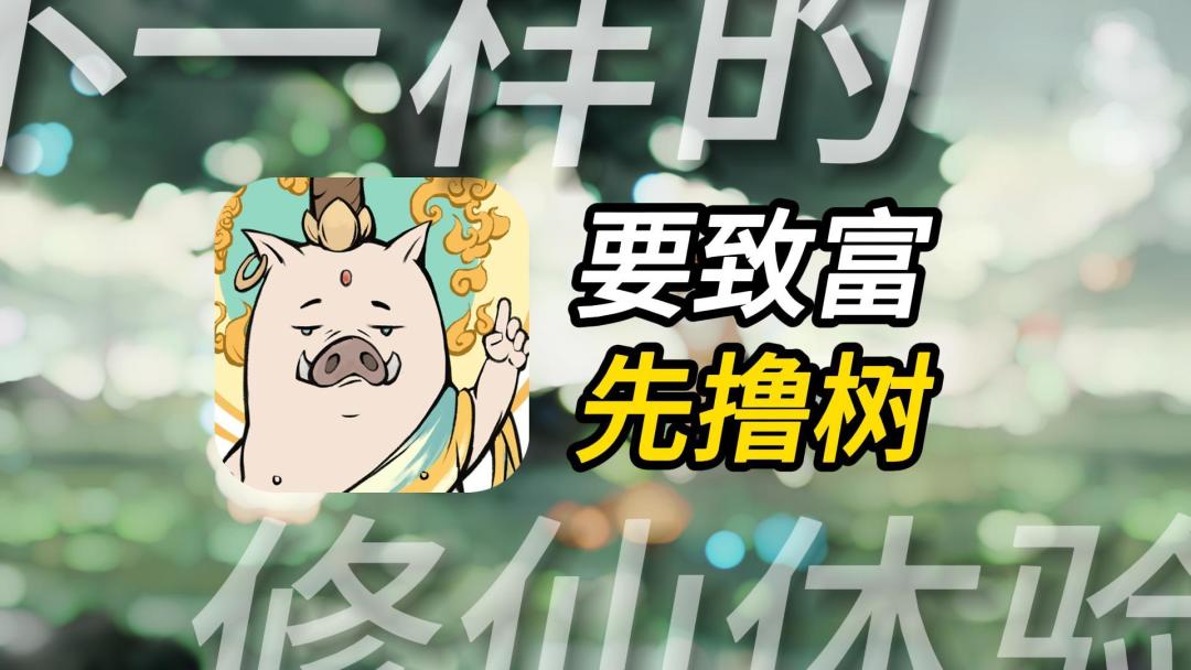 video-3786048