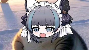 【狐】 猫之城 日常本-深港特训营速刷最快阵容