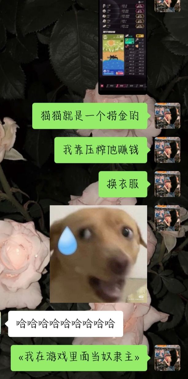 我大彻大悟！截图