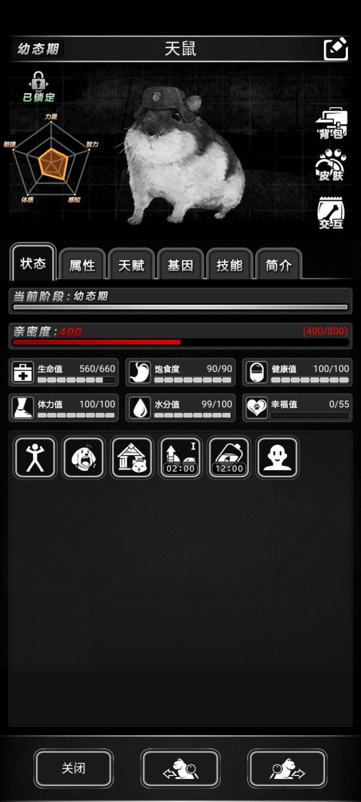 宠物亲密度怎么提升呢截图