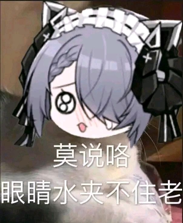 准备过端午了 1