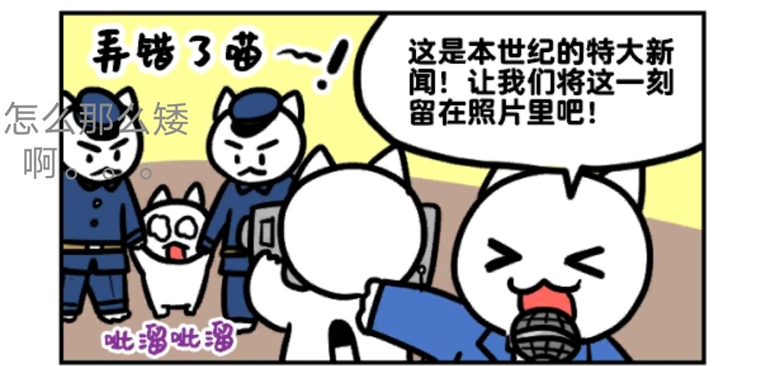 动态图片 9