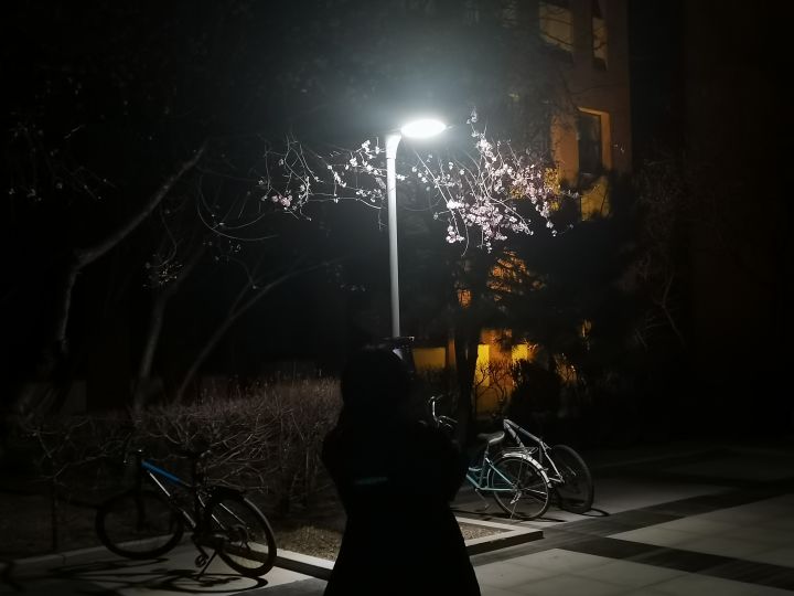 (●´∀`●)截图