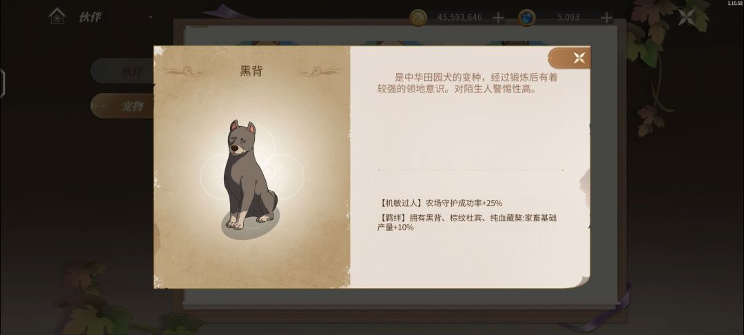 一些关于宠物的提问 2